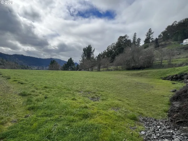 a view of a field with an trees in the background