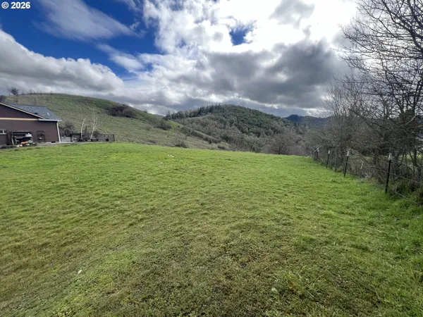 a view of a big yard with lots of green space