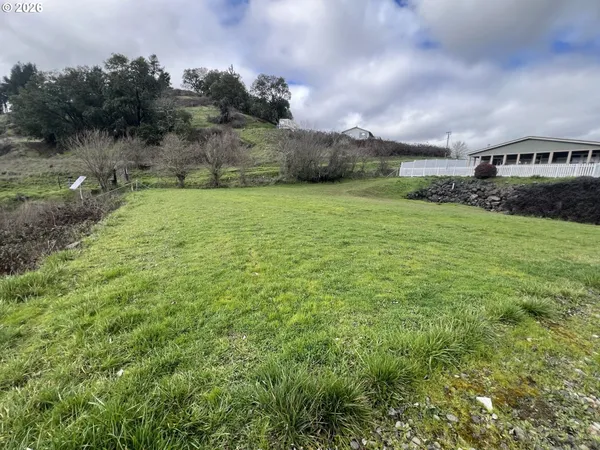 a view of a big yard with potted plants and big yard