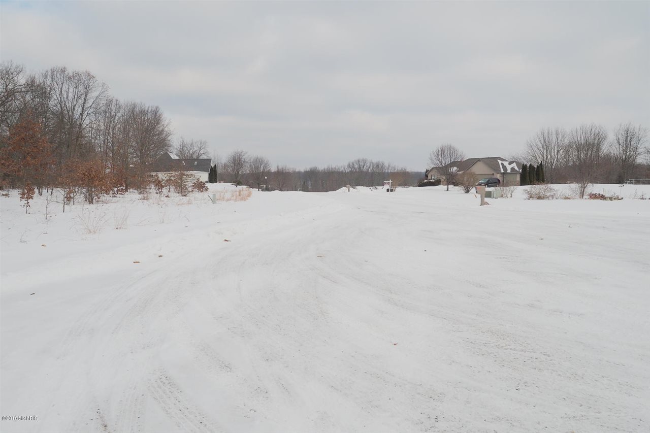17 River Ridge Drive Grand Junction, MI 49056 - Photo 3 of 3