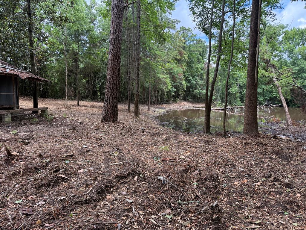 4935 Buena Vista Road Columbus, GA 31907 - Photo 12 of 24 a backyard of a house with lots of green space