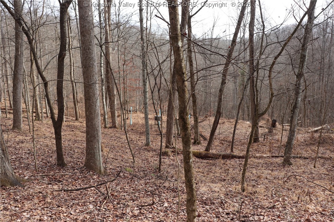 0 Route 12 Road Alum Creek, WV 25003 - Photo 31 of 44 Gallery Image 31