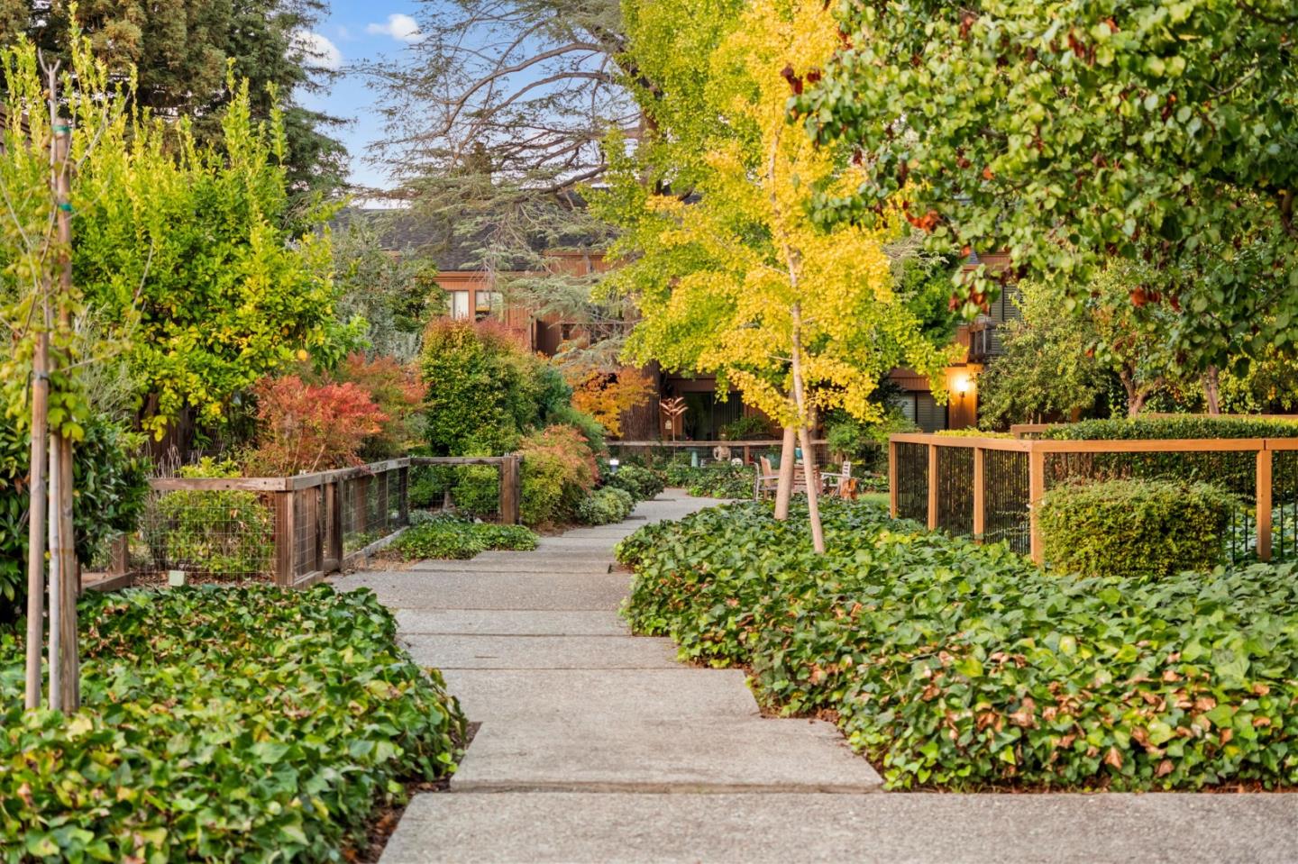 1631 Grant Road Mountain View, CA 94040 - Photo 48 of 51 a view of a garden with pathway