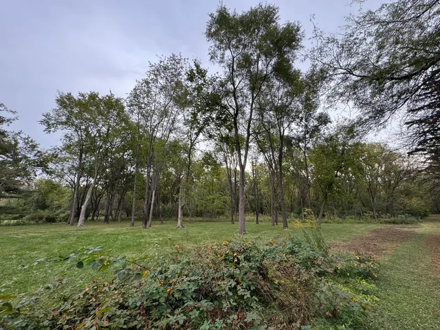 a view of outdoor space and garden