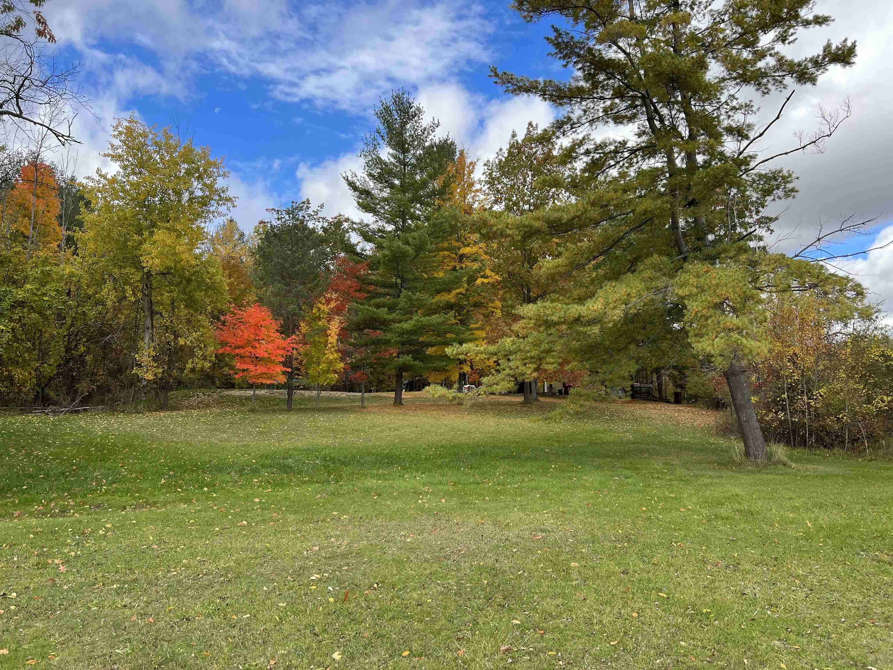 2700 Plainfield Road Hale, MI 48739 - Photo 5 of 16