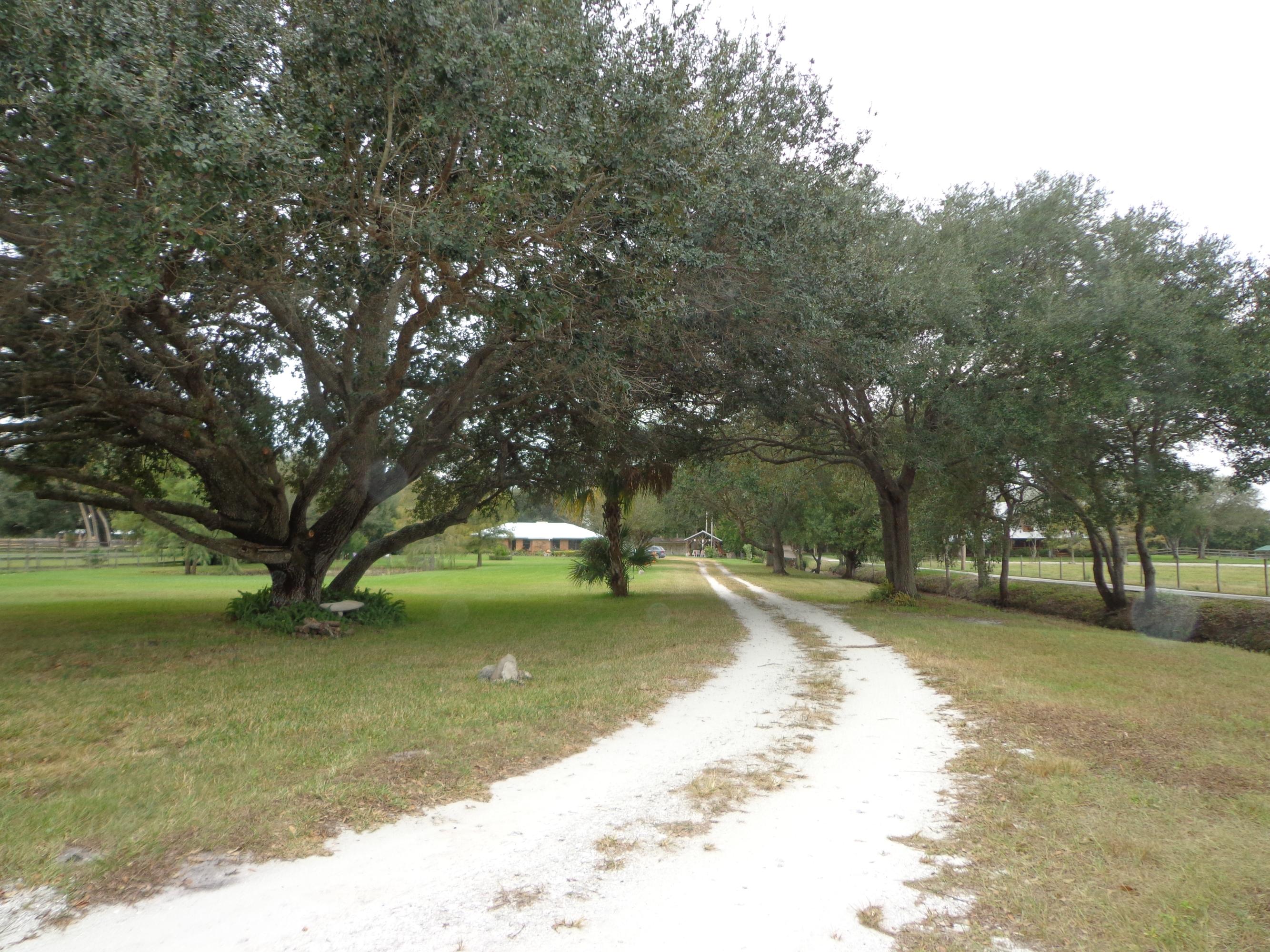 2001 South Brocksmith Road Fort Pierce, FL 34945 - Photo 2 of 24 Tree lined driveway