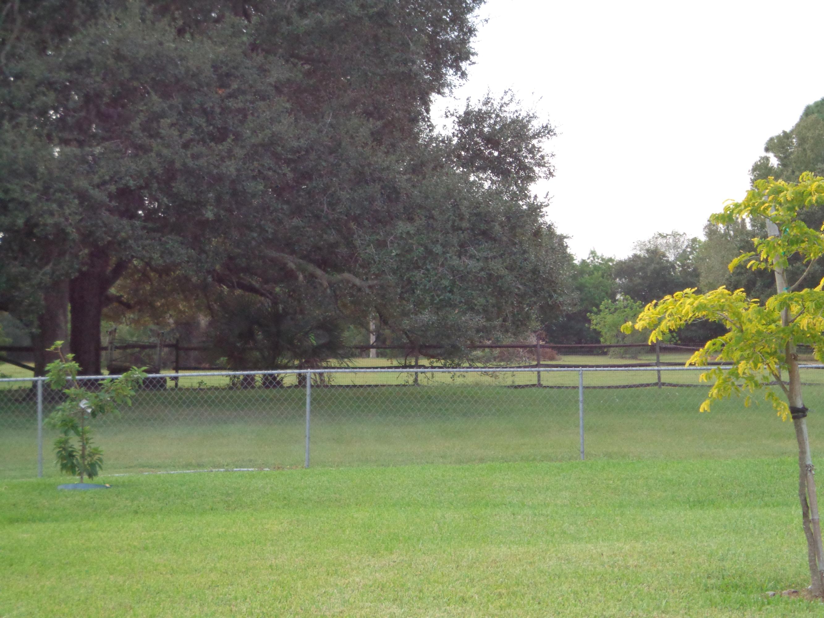 2001 South Brocksmith Road Fort Pierce, FL 34945 - Photo 24 of 24 Fenced pasture, bring your horses!