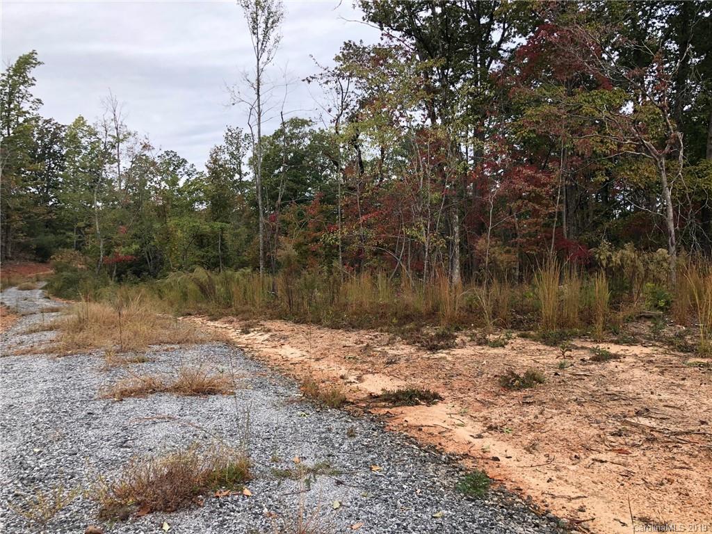 0 Turner Road Tryon, NC 28782 - Photo 2 of 3