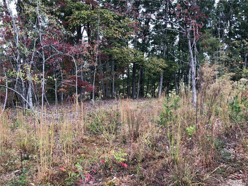 0 Turner Road Tryon, NC 28782 - Photo 3 of 3