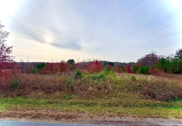 a view of a field with a house in the background