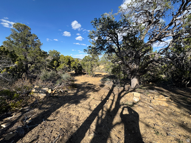 38 Broken Branch Road, Unit 38 Kanab, UT 84741 - Photo 18 of 53 Expansive natural landscape with mature trees and native foliage