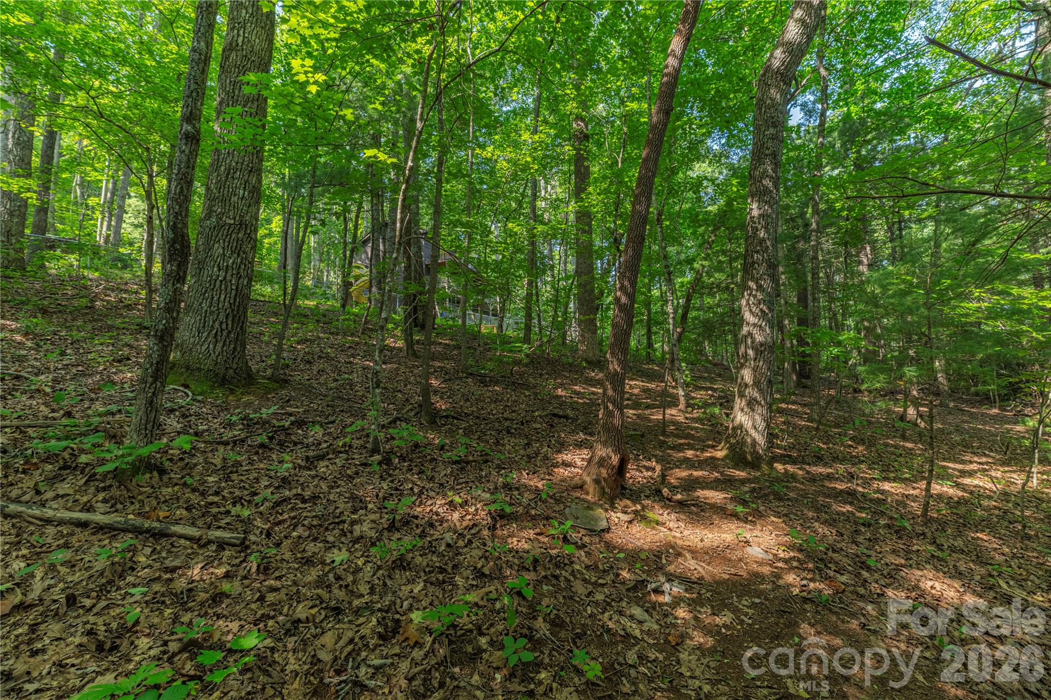 99999 Claru Rdg Road Fletcher, NC 28732 - Photo 10 of 12 Gallery Image 10