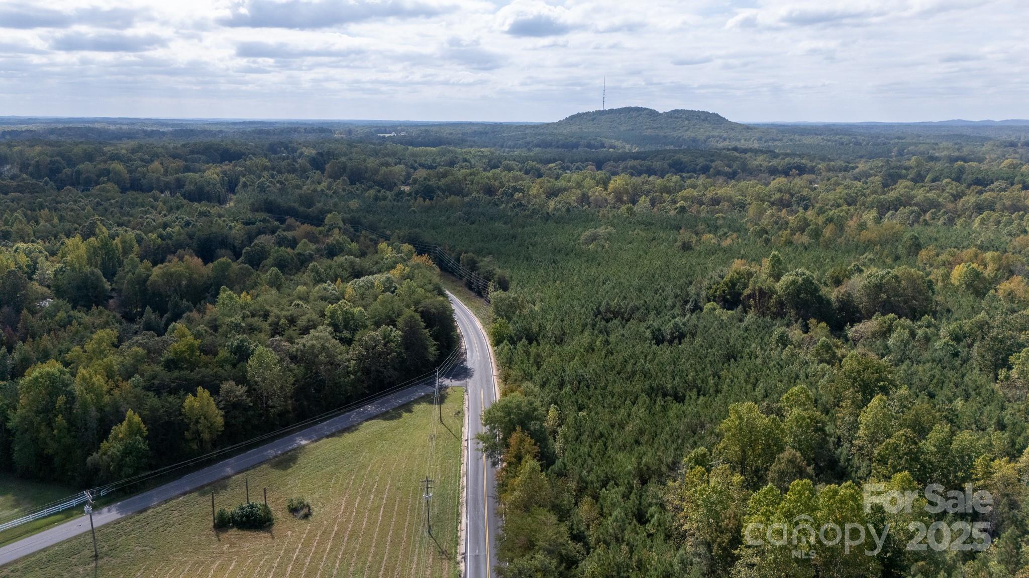 Lot 2 Rhyne Road Clover, SC 29710 - Photo 11 of 17 a view of a green field with mountains in the background