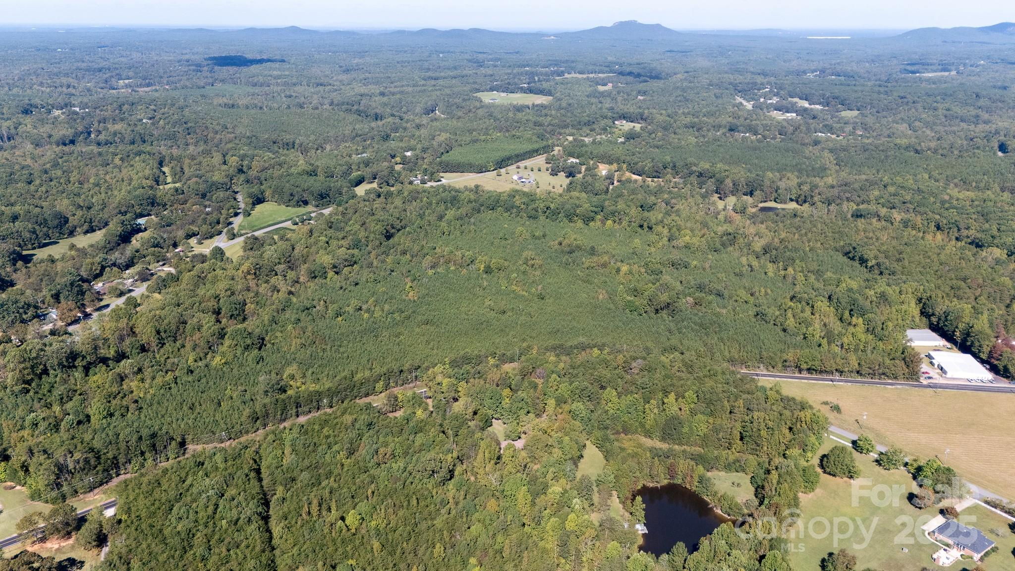 Lot 2 Rhyne Road Clover, SC 29710 - Photo 4 of 17 a view of a lush green field