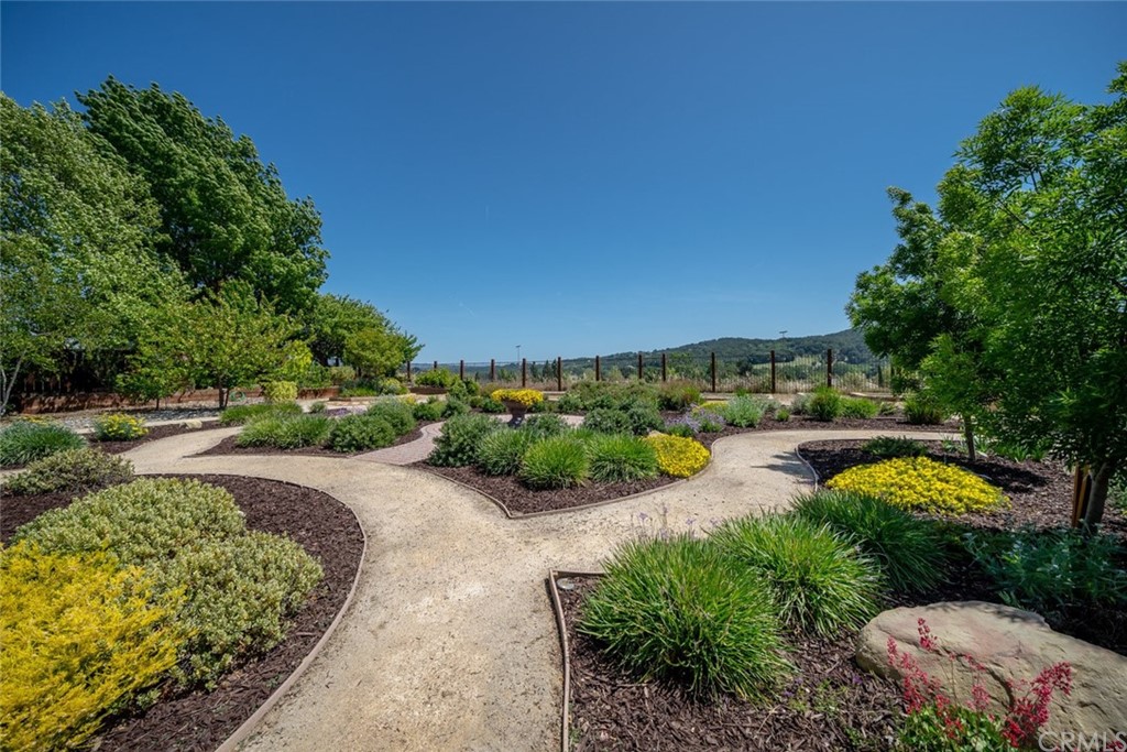 1675 Via Rojas Templeton, CA 93465 - Photo 16 of 60 a view of a garden with lawn chairs under an umbrella