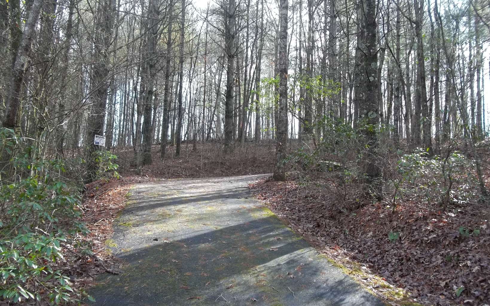 4 Jared Road Blue Ridge, GA 30513 - Photo 1 of 1 Main View
