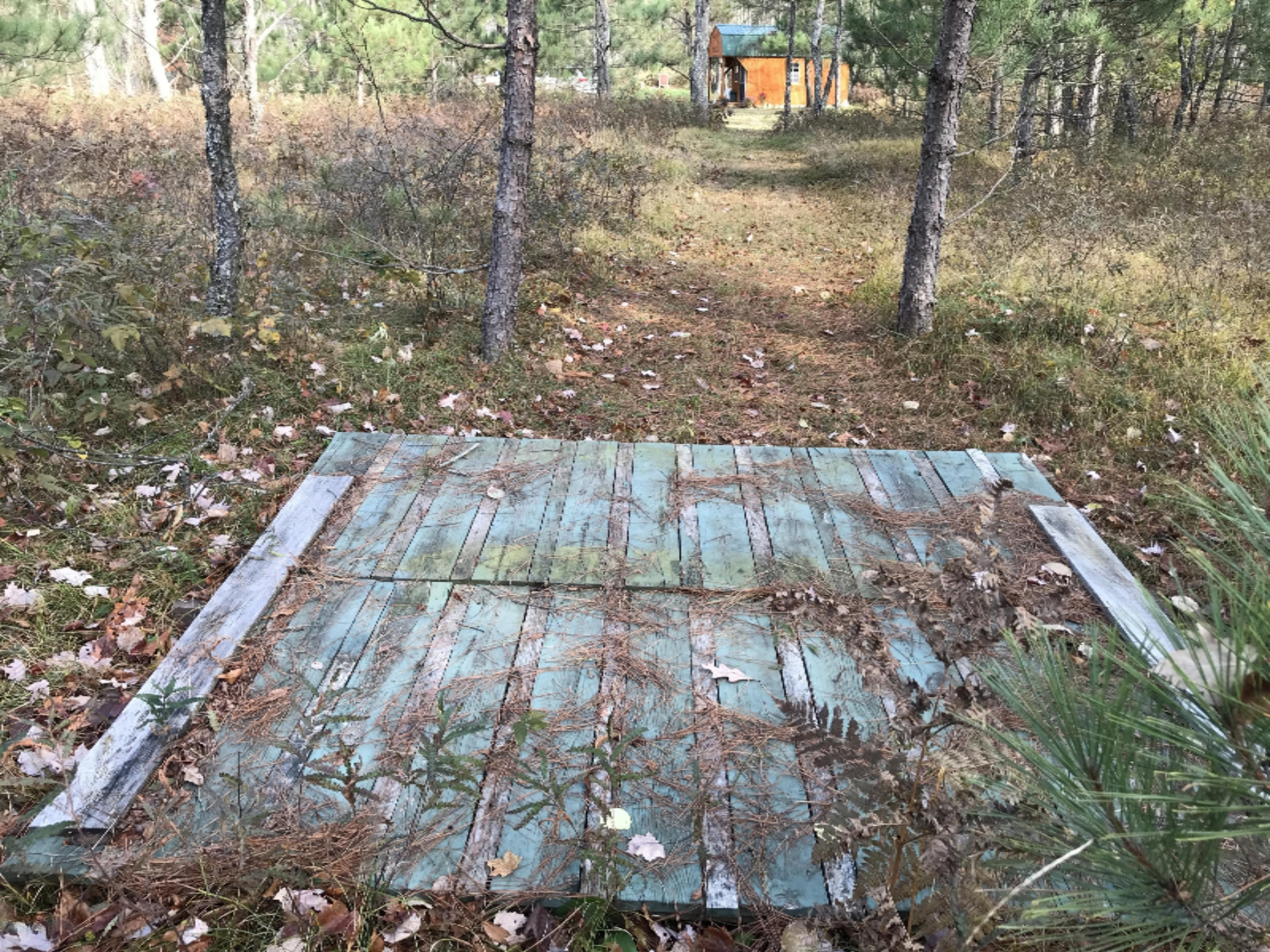 0 North Larson Road, Unit V/L Free Soil, MI 49411 - Photo 12 of 24 IMG_4909