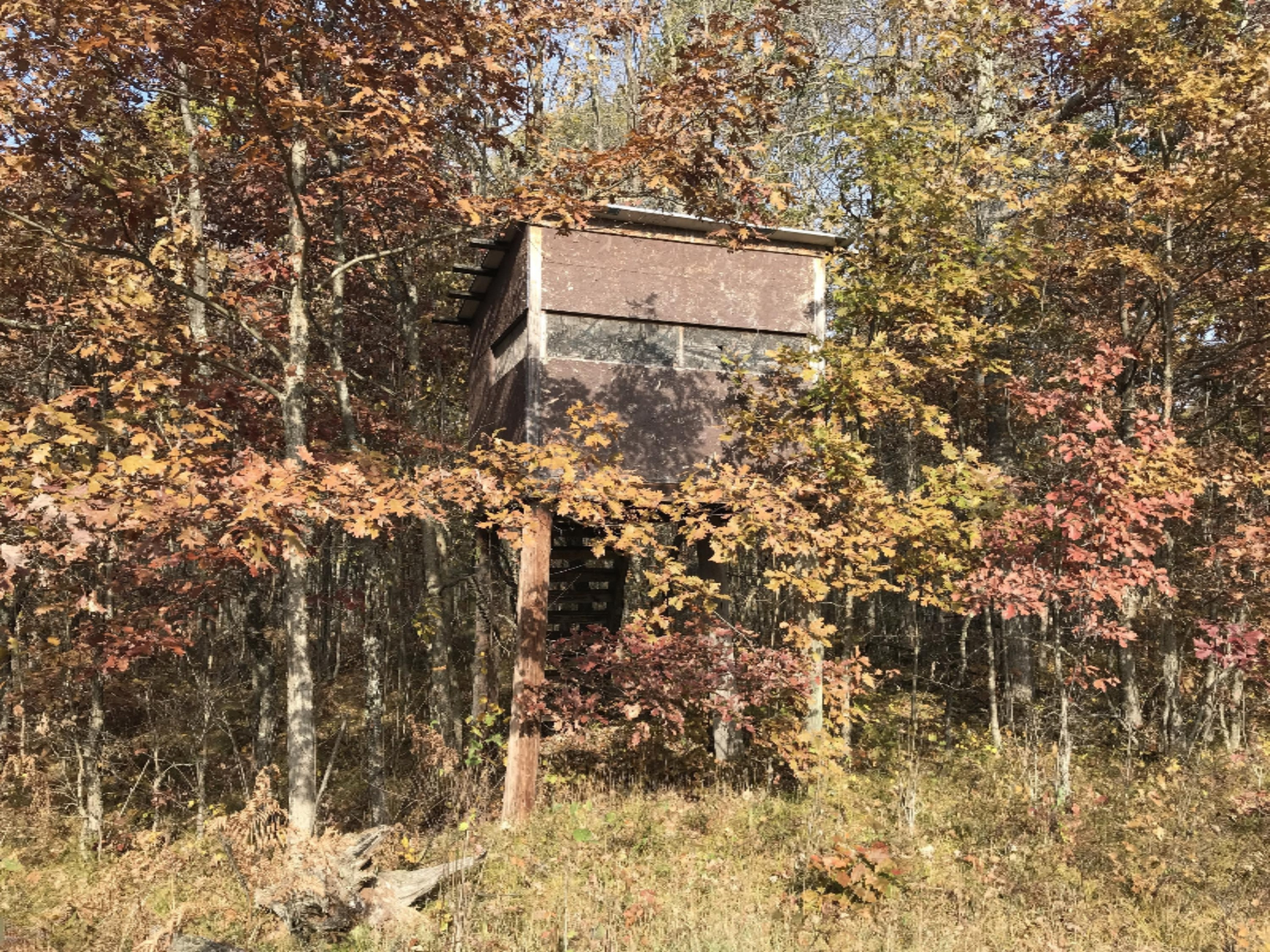 0 North Larson Road, Unit V/L Free Soil, MI 49411 - Photo 17 of 24 IMG_4922
