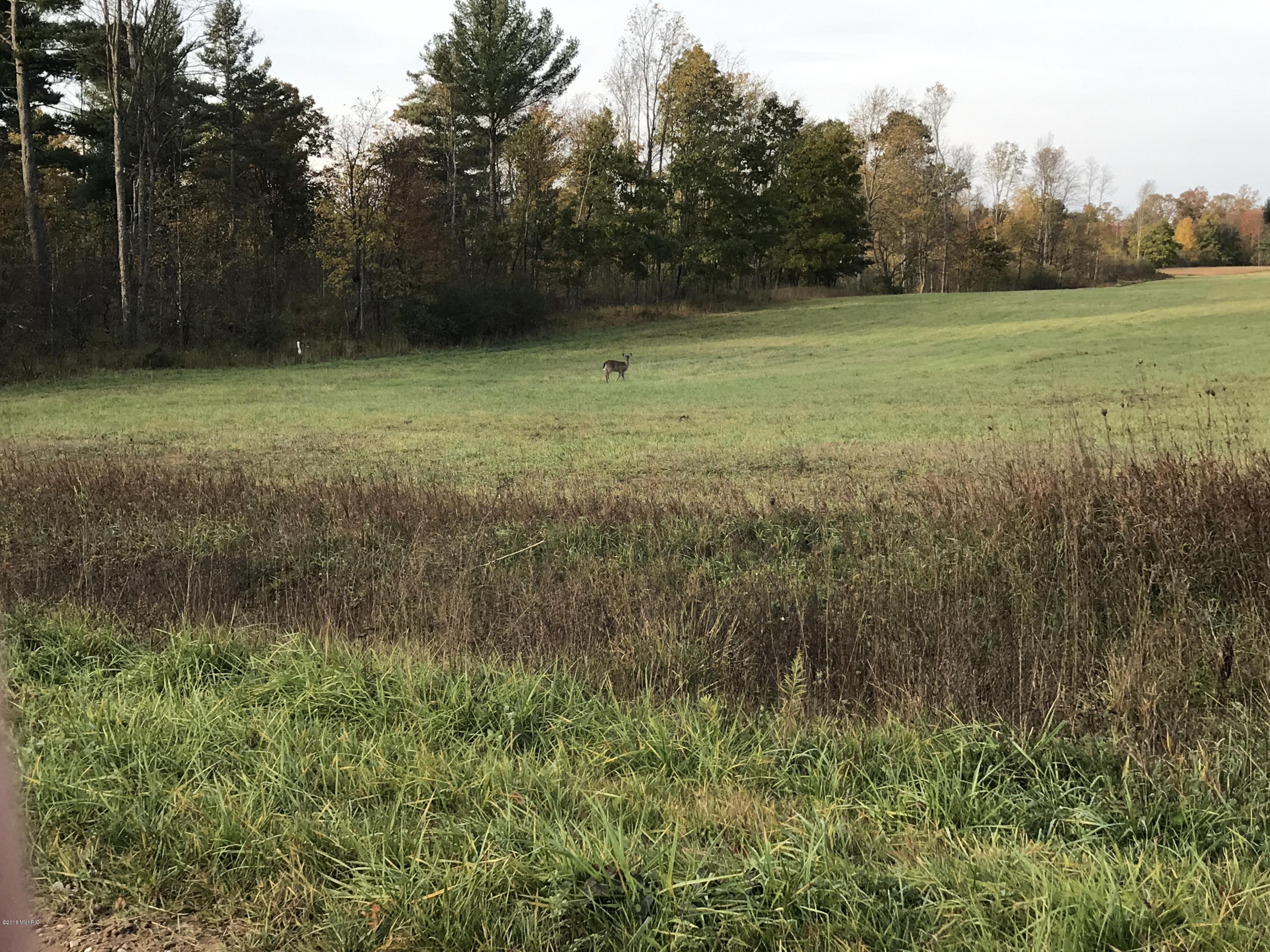 0 North Larson Road, Unit V/L Free Soil, MI 49411 - Photo 2 of 24 IMG_4893