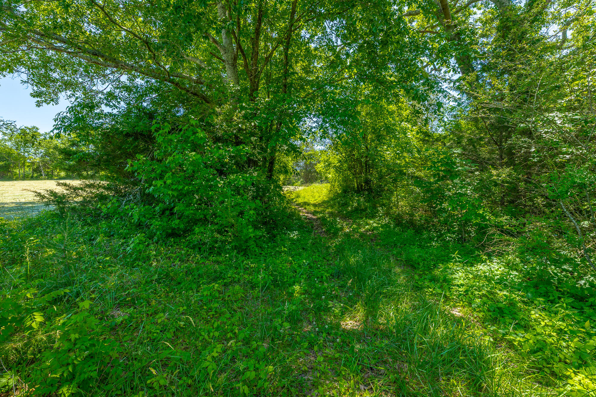 1655 West Cove Road Chickamauga, GA 30707 - Photo 21 of 62 1655 W Cove Road HD-72