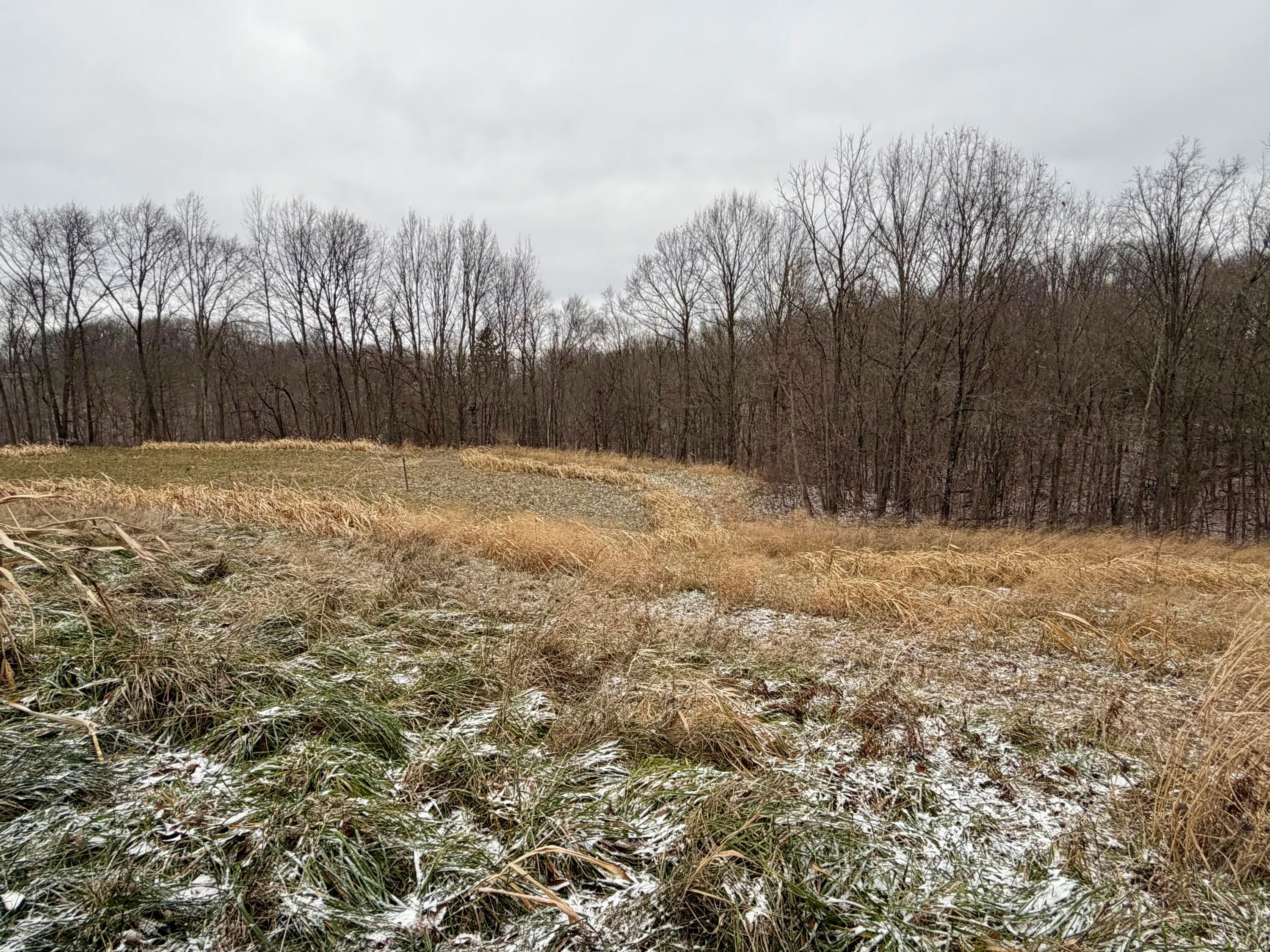 0 Sealover Hollow Road Philo, OH 43771 - Photo 10 of 26 IMG_1993