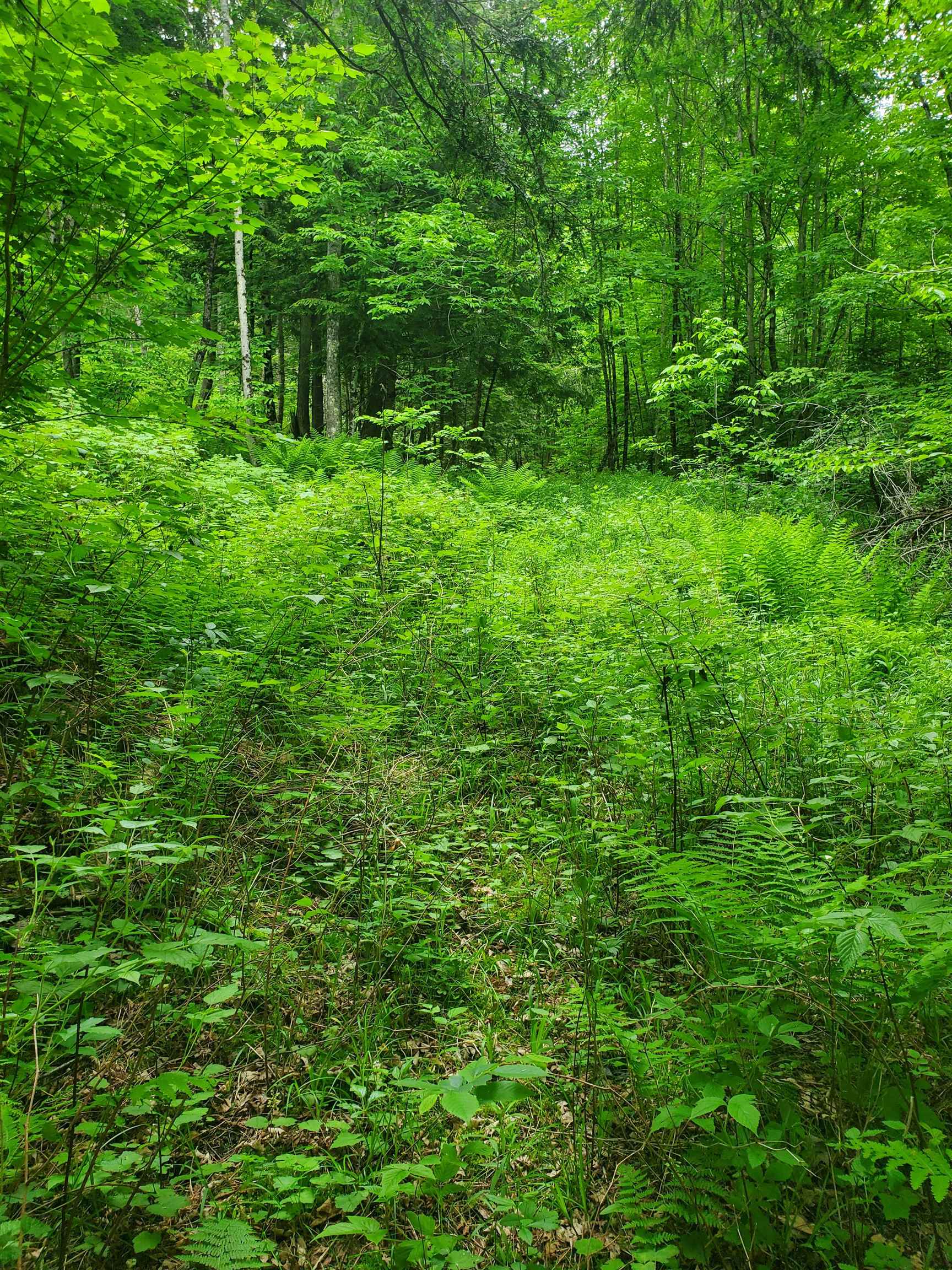 420 Nadeau Park Road Newport, VT 05855 - Photo 4 of 6