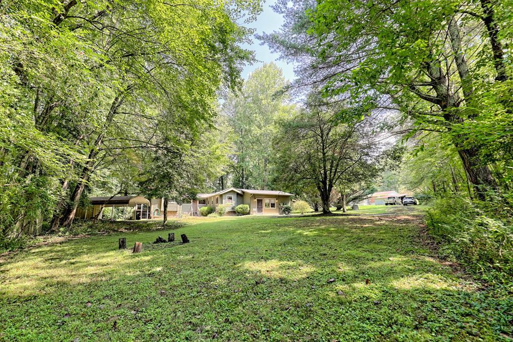 641 Cold Branch Road Hayesville, NC 28904 - Photo 2 of 65 a view of a park with large trees