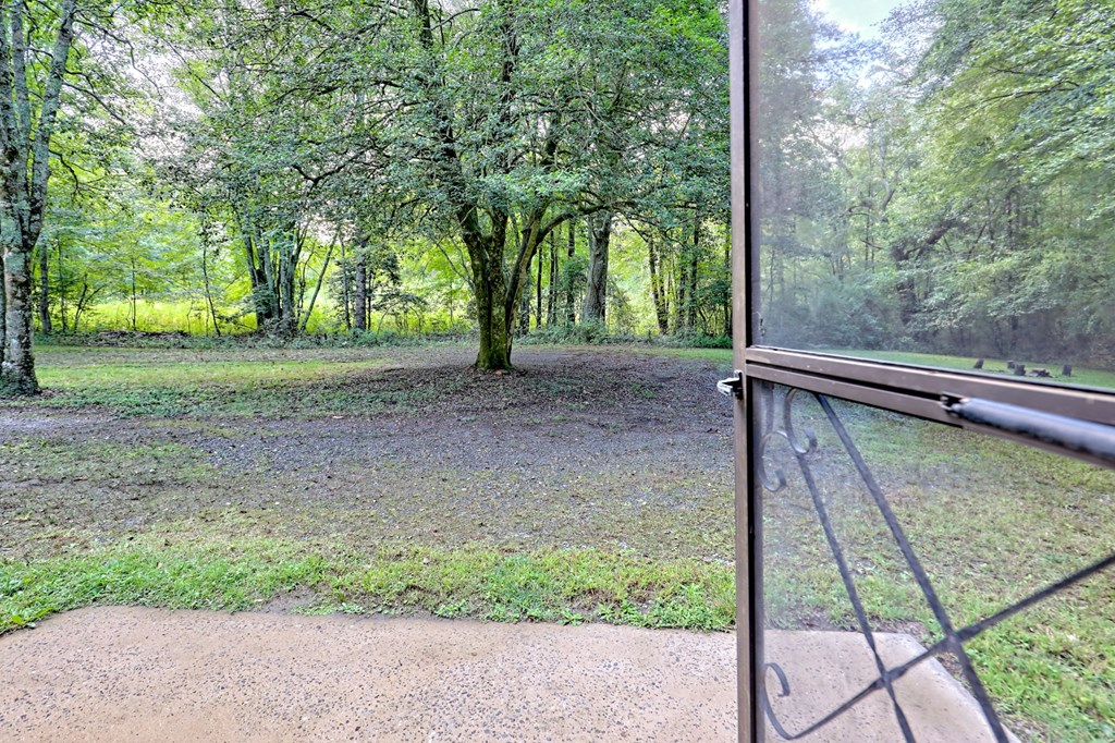 641 Cold Branch Road Hayesville, NC 28904 - Photo 23 of 65