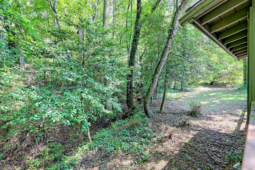 641 Cold Branch Road Hayesville, NC 28904 - Photo 51 of 65 a backyard of a house with lots of green space