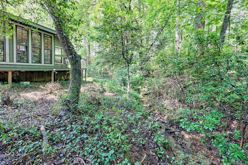 641 Cold Branch Road Hayesville, NC 28904 - Photo 57 of 65