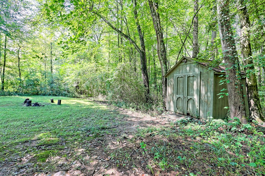 641 Cold Branch Road Hayesville, NC 28904 - Photo 6 of 65 a view of a house with a yard