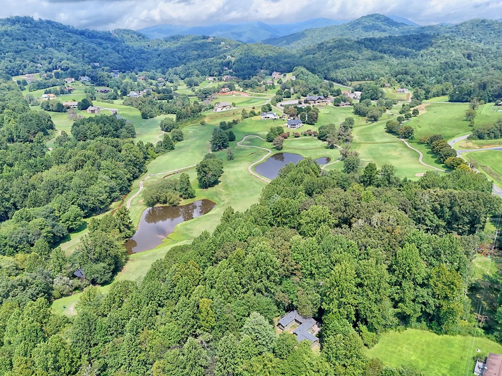 641 Cold Branch Road Hayesville, NC 28904 - Photo 65 of 65 an aerial view of residential house with outdoor space and trees all around