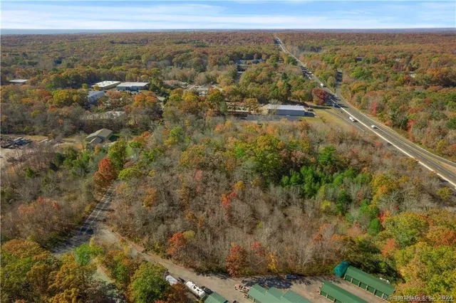 a view of a yard with plants and trees