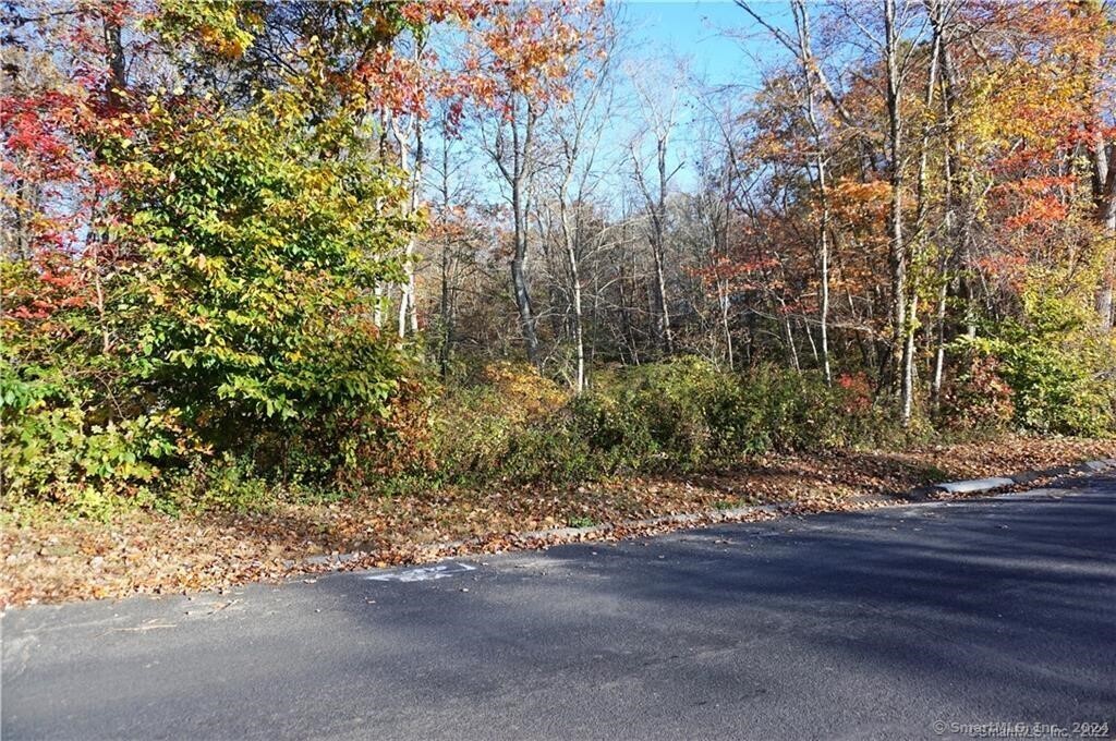 14 Colton Road East Lyme, CT 06357 - Photo 6 of 8 a view of a yard with plants and trees