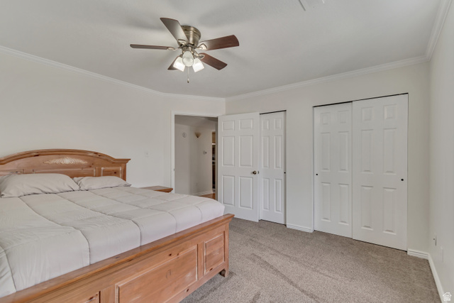 653 South 500 West, Unit 1 Provo, UT 84601 - Photo 10 of 17 Bedroom featuring light-toned walls, crown molding, and carpet flooring