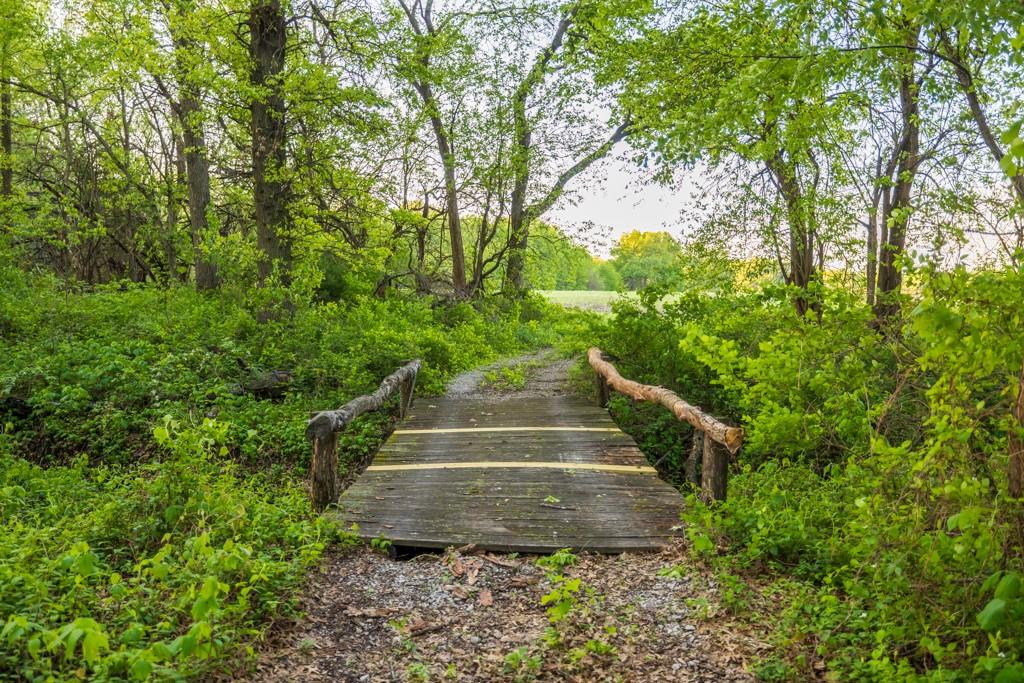 3701 South 1500th Road Rich Hill, MO 64779 - Photo 79 of 99