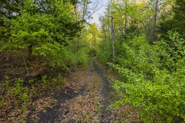 $2,990,000 | 3701 South 1500th Road, Rich Hill, MO 64779