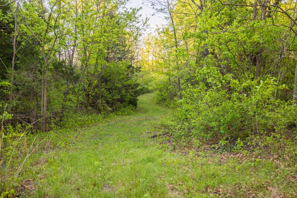 3701 South 1500th Road Rich Hill, MO 64779 - Photo 82 of 99