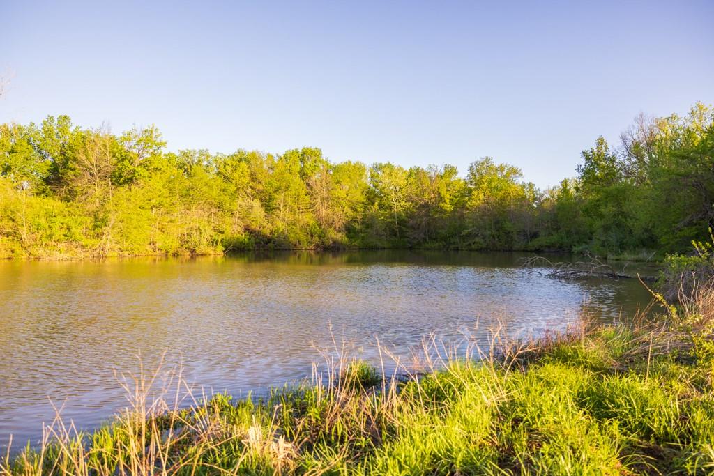 3701 South 1500th Road Rich Hill, MO 64779 - Photo 84 of 99