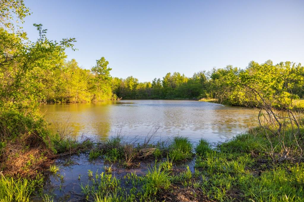 3701 South 1500th Road Rich Hill, MO 64779 - Photo 85 of 99