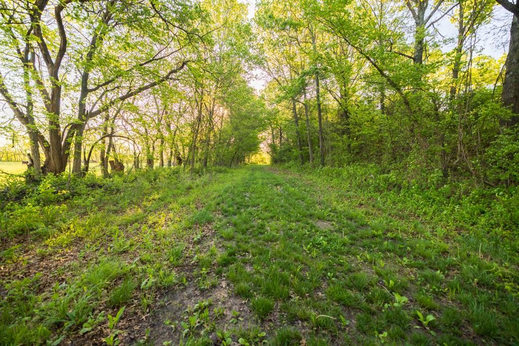 3701 South 1500th Road Rich Hill, MO 64779 - Photo 87 of 99