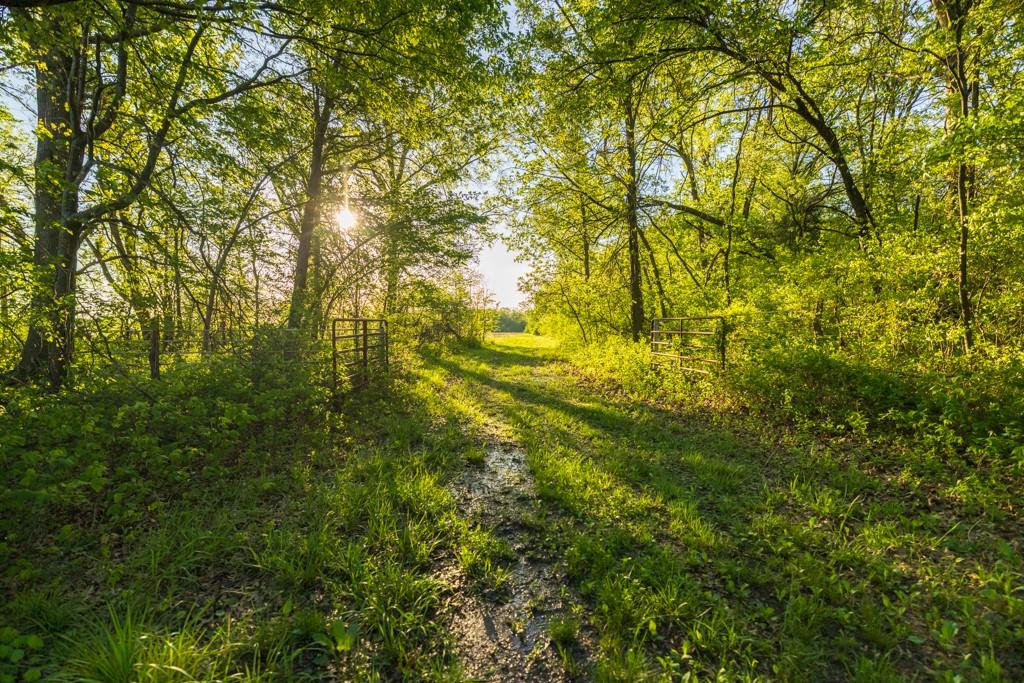 3701 South 1500th Road Rich Hill, MO 64779 - Photo 88 of 99