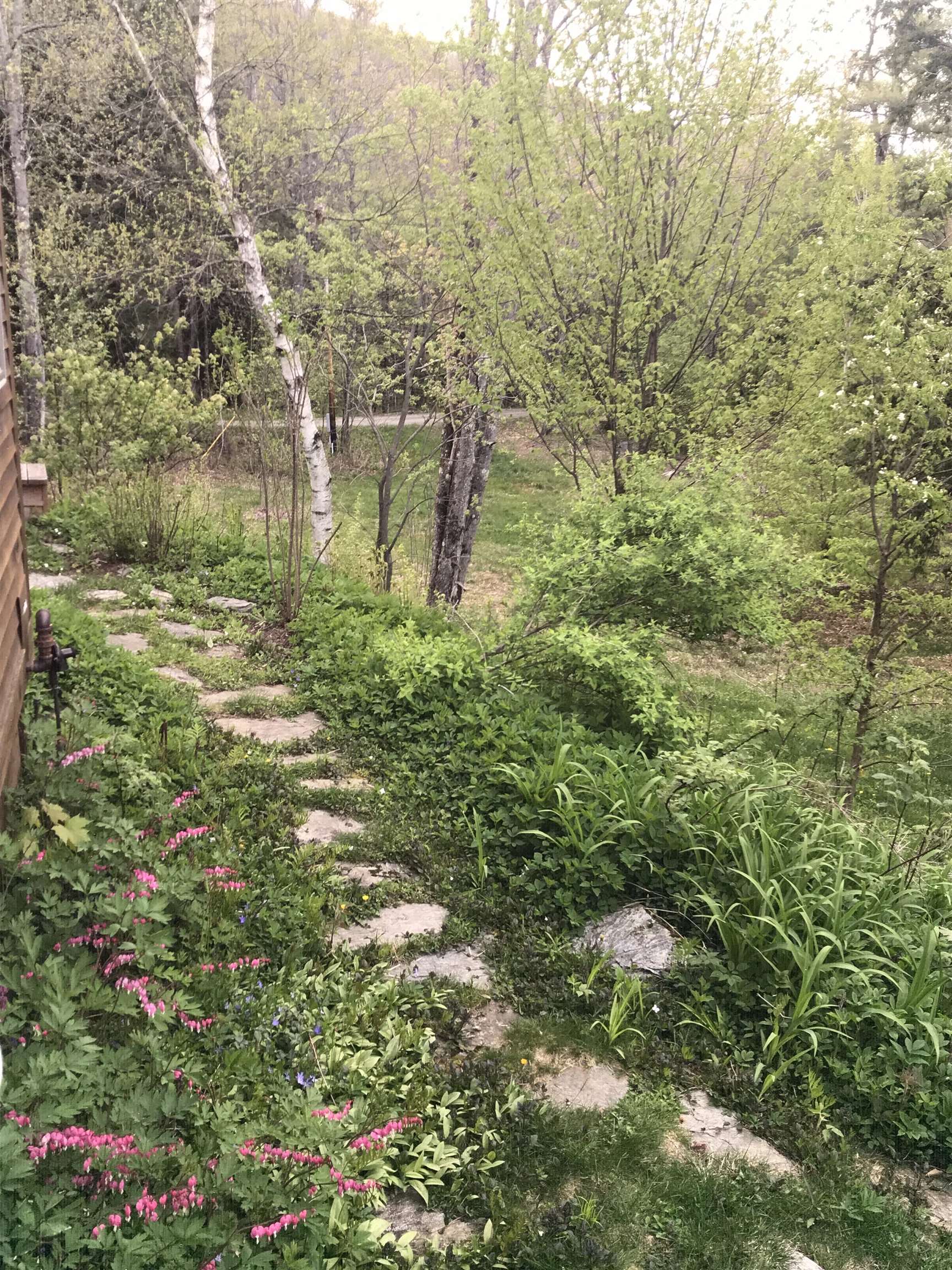 157 Mehuron Drive Waitsfield, VT 05673 - Photo 14 of 40