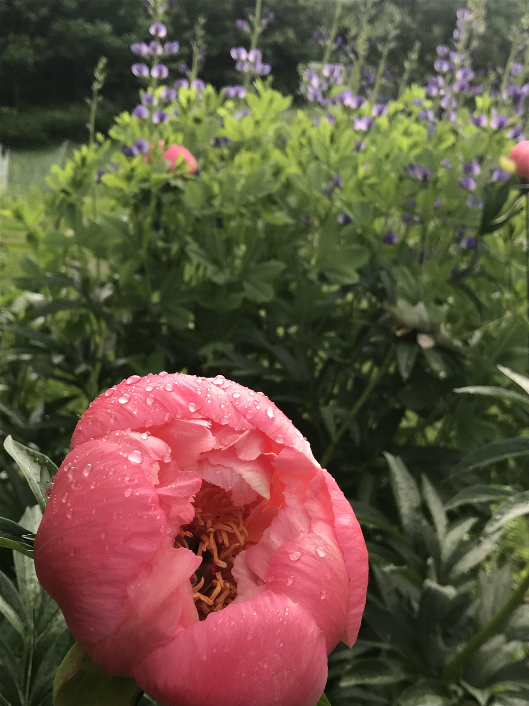 157 Mehuron Drive Waitsfield, VT 05673 - Photo 15 of 40