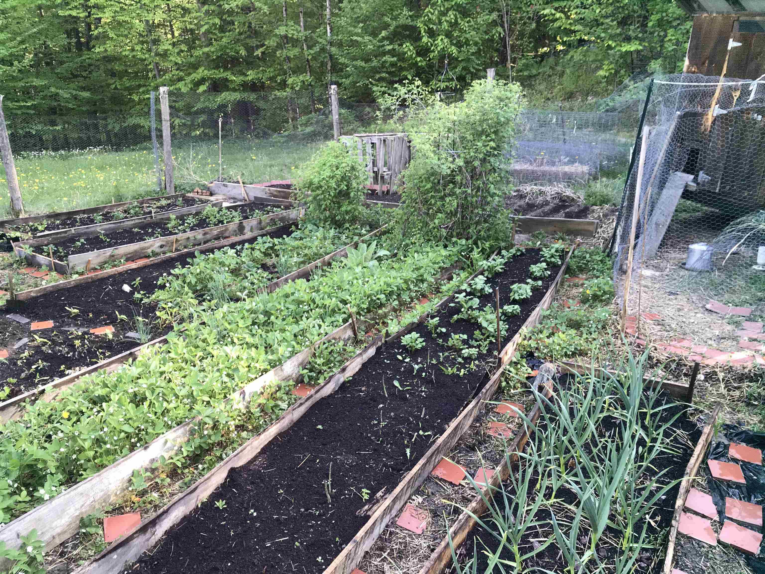 157 Mehuron Drive Waitsfield, VT 05673 - Photo 16 of 40