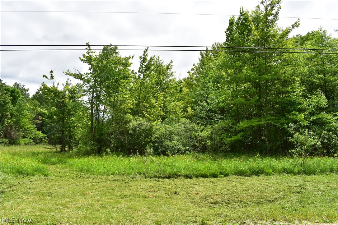 Forman Road Austinburg, OH 44010 - Photo 2 of 21 Gallery Image 2
