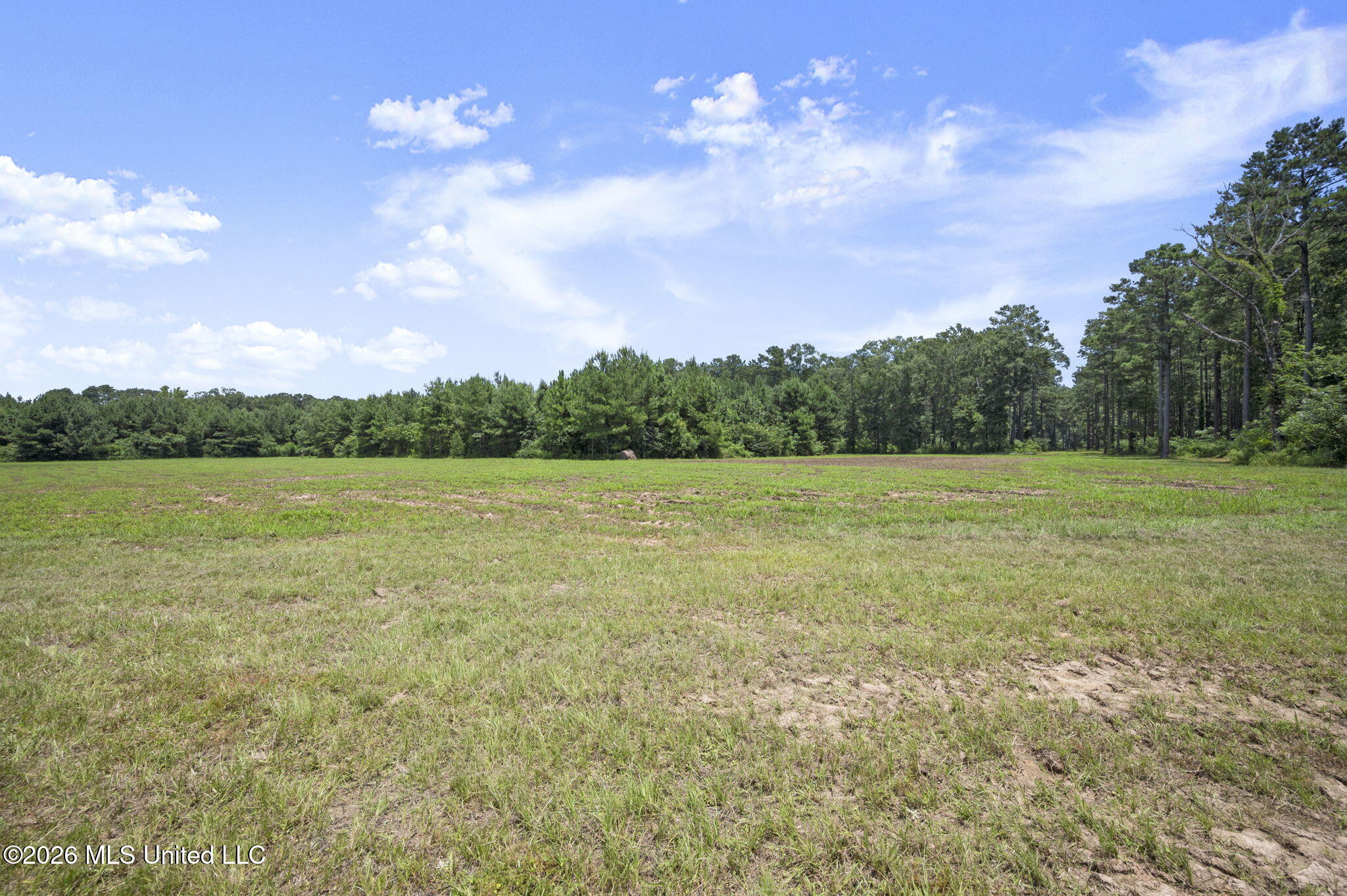 4056 Tanglewood Road Magnolia, MS 39652 - Photo 31 of 53 49-web-or-mls-Z62_3528