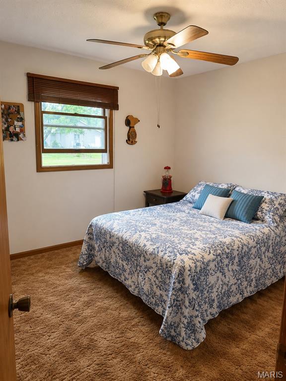 651 Dora Street Beckemeyer, IL 62219 - Photo 12 of 19