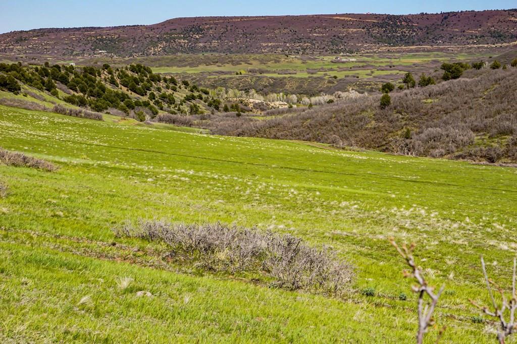 Tbd Tbd Rilling Canyon Road La Veta, CO 81055 - Photo 27 of 33