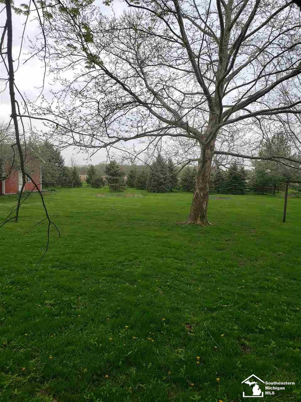 6218 West Dunbar Road Monroe, MI 48161 - Photo 36 of 38
